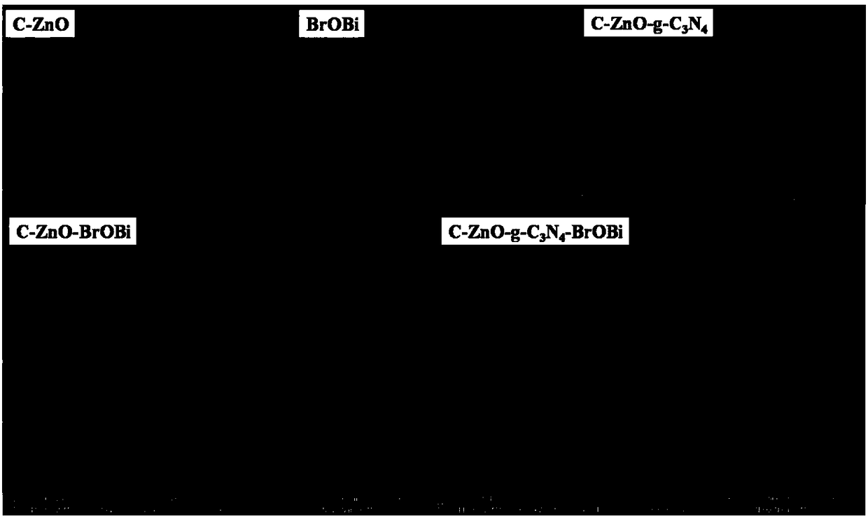 Automatic biasing microbial coupled photoelectrocatalysis fuel cell pollution control system and electrode preparation method