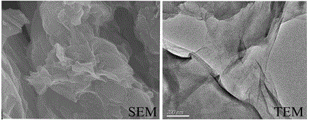 Preparation method and application of functionalized graphene oxide carrier