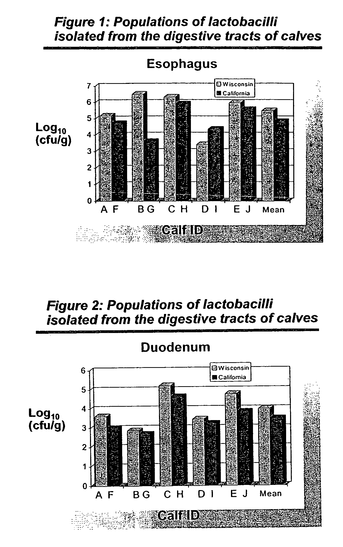 Lactic acid bacteria and its use in direct-fed microbials