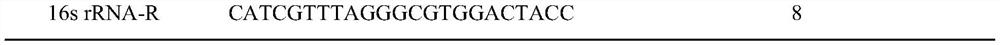 Probiotic composition for inhibiting helicobacter pylori and application