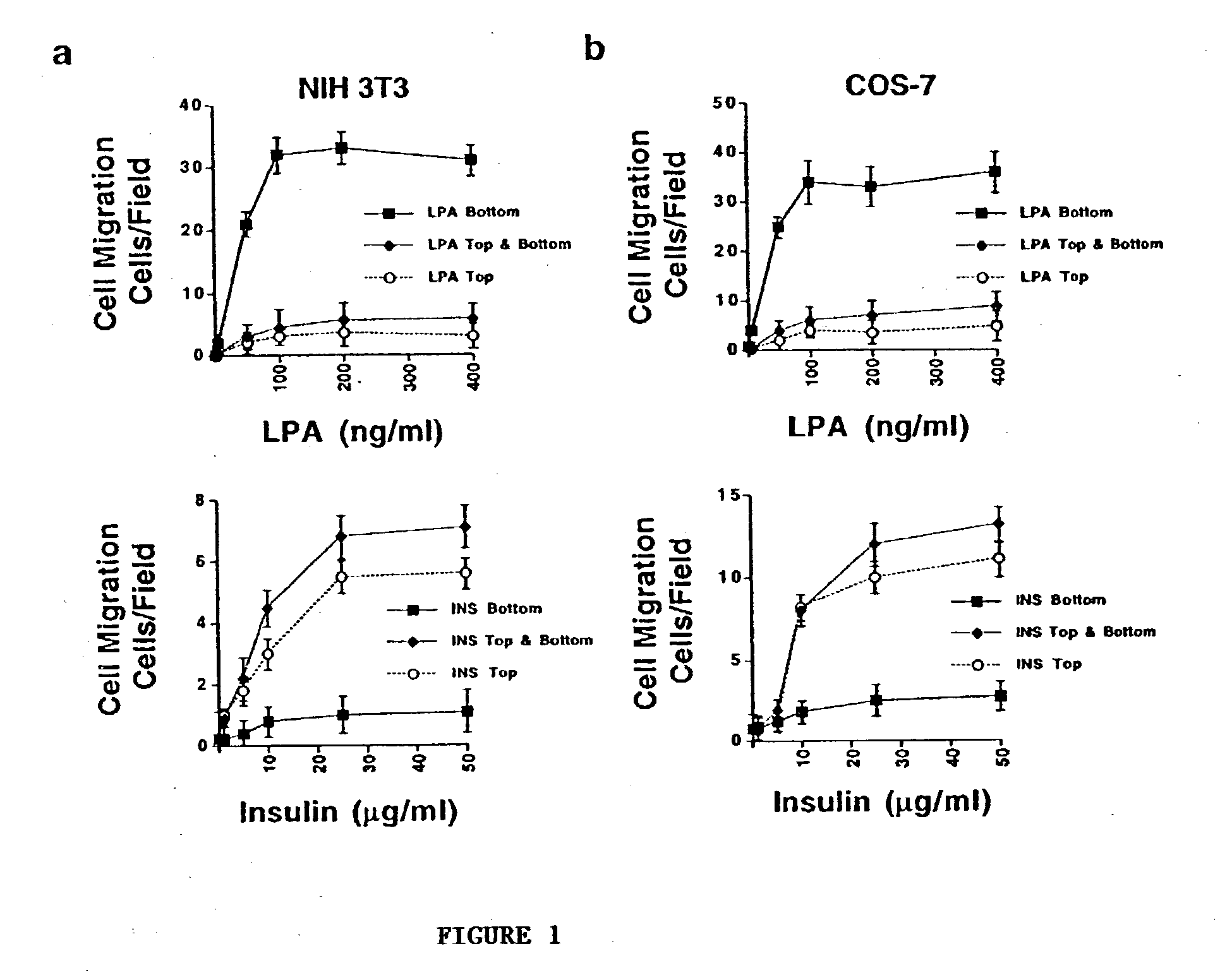 Purification of the leading front of migratory cells