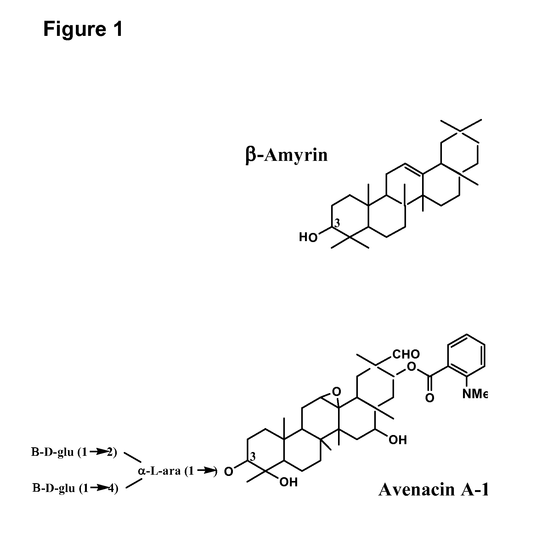 Enzymes involved in triterpene synthesis