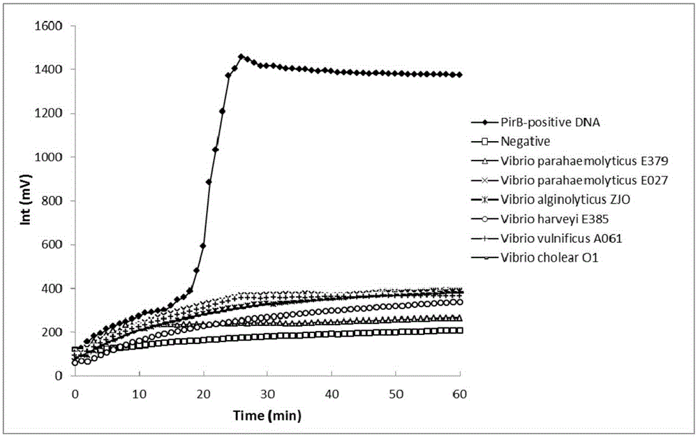 Kit for rapidly detecting pathogeny of acute hepatopancreatic necrosis disease of prawns and application of kit