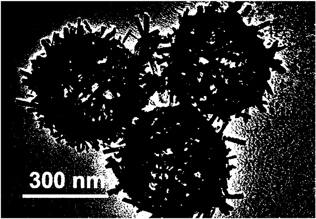 Rodlike bismuth sulfide hollow nanoscale balloon and preparation method thereof