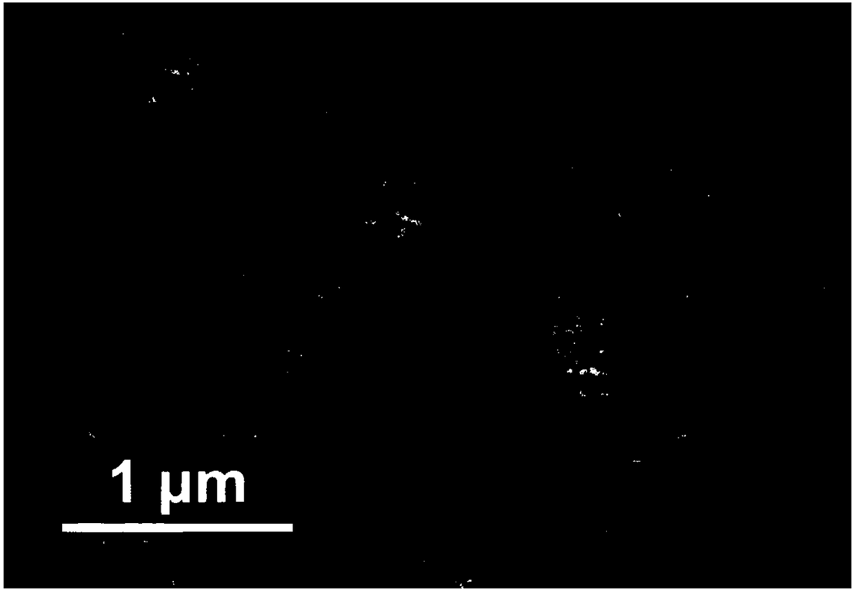 Rodlike bismuth sulfide hollow nanoscale balloon and preparation method thereof