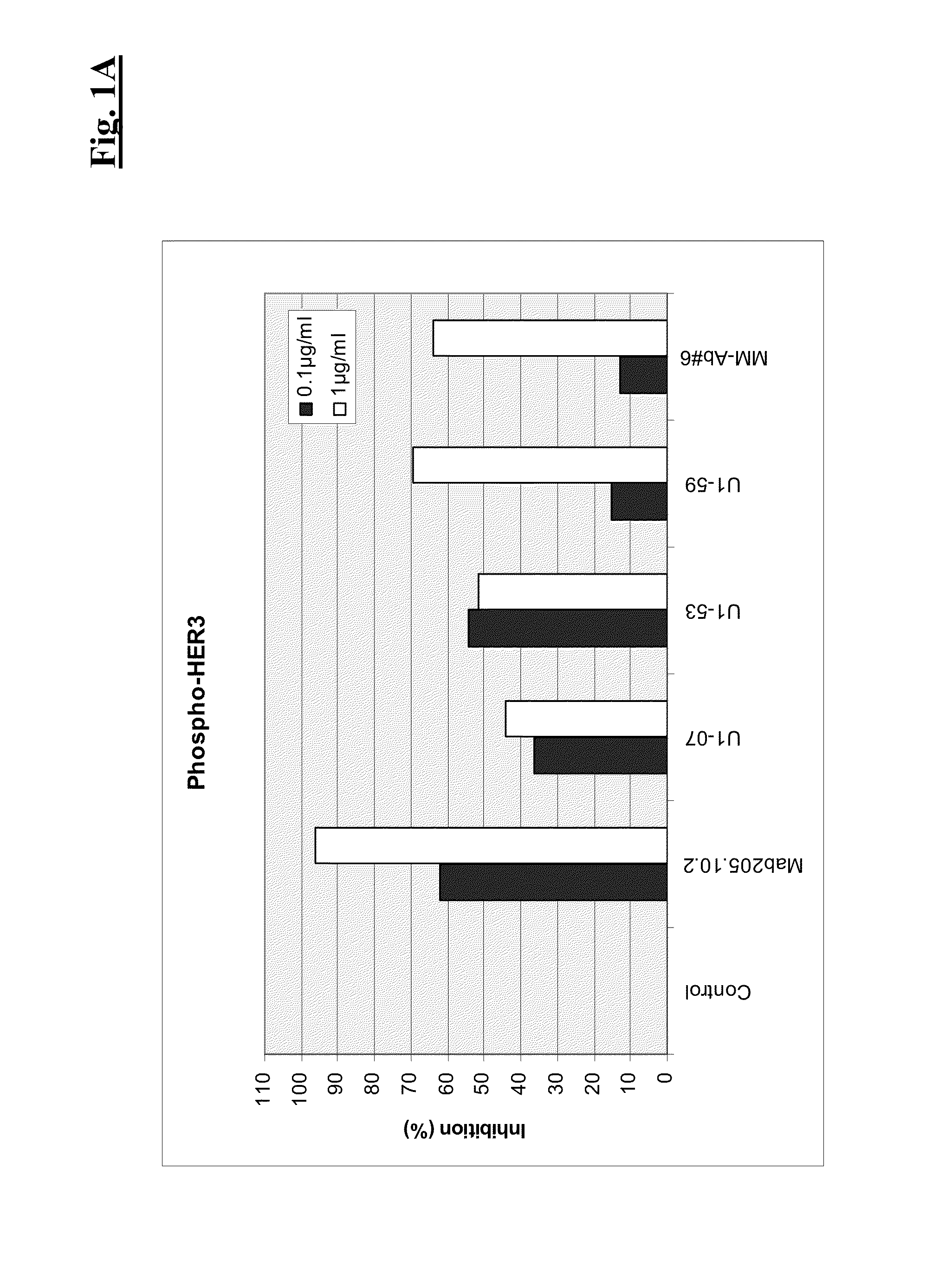 Combination therapy of Anti-her3 antibodies