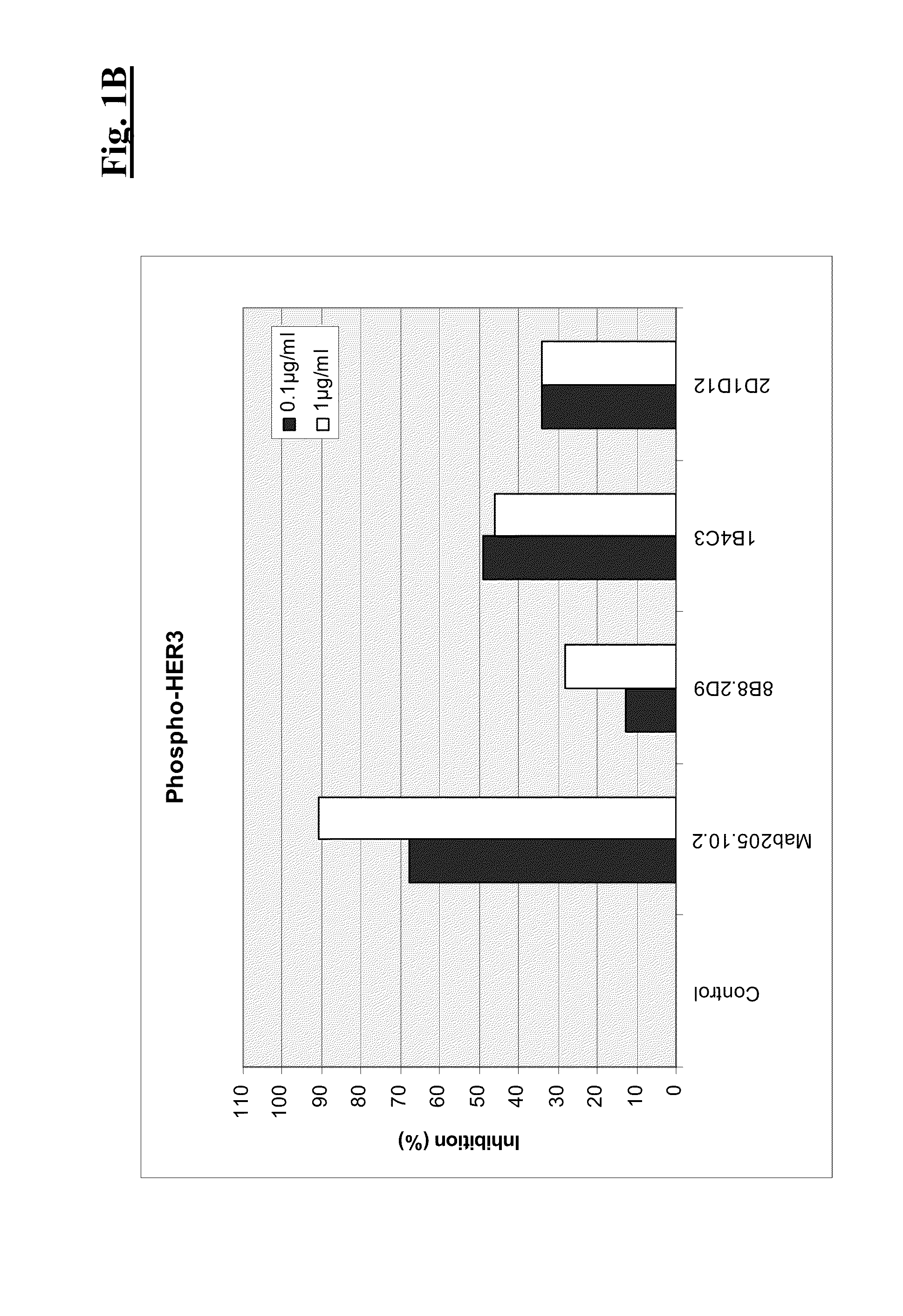 Combination therapy of Anti-her3 antibodies