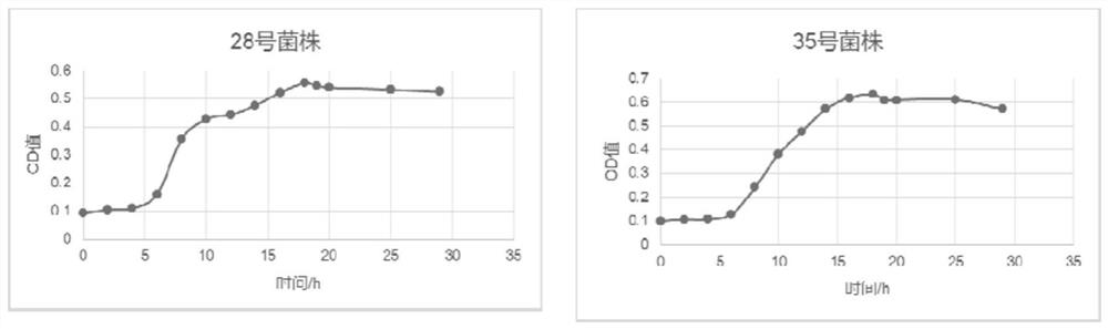 Bacillus peoriae and application thereof in prevention and treatment of citrus canker