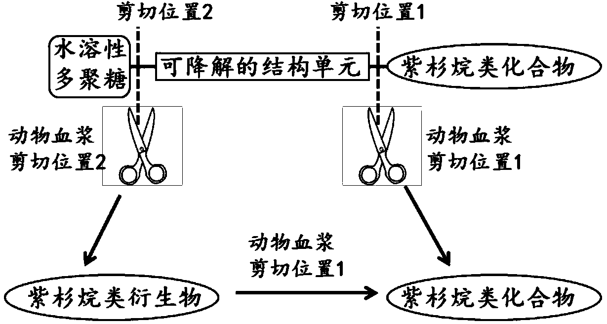 Covalent polycompound of water-soluble polysaccharide and taxane compound, and preparation method and medical application of covalent polycompound