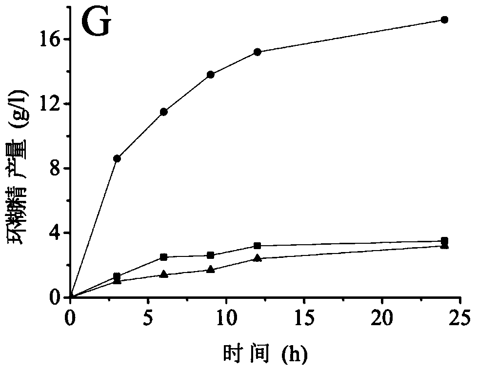 Cyclodextrin glucosyltransferase mutant with improved cyclization activity