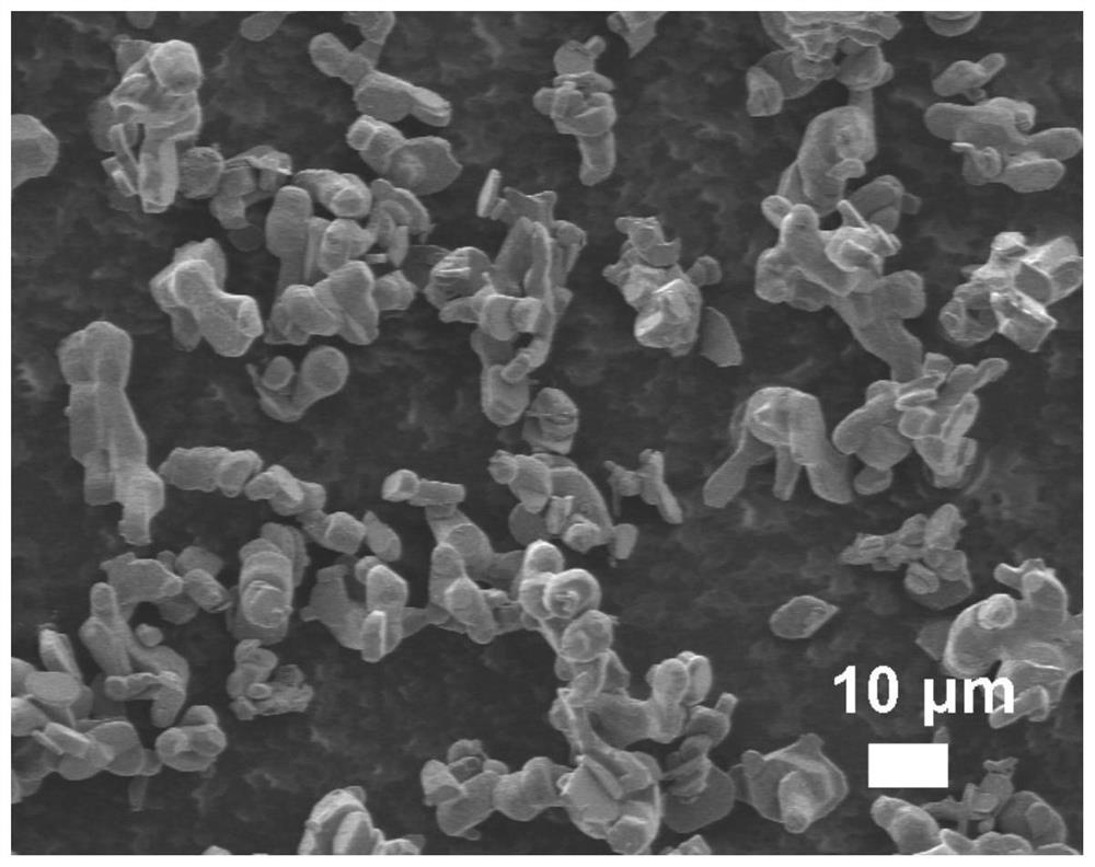 Preparation method and application of sodium manganate