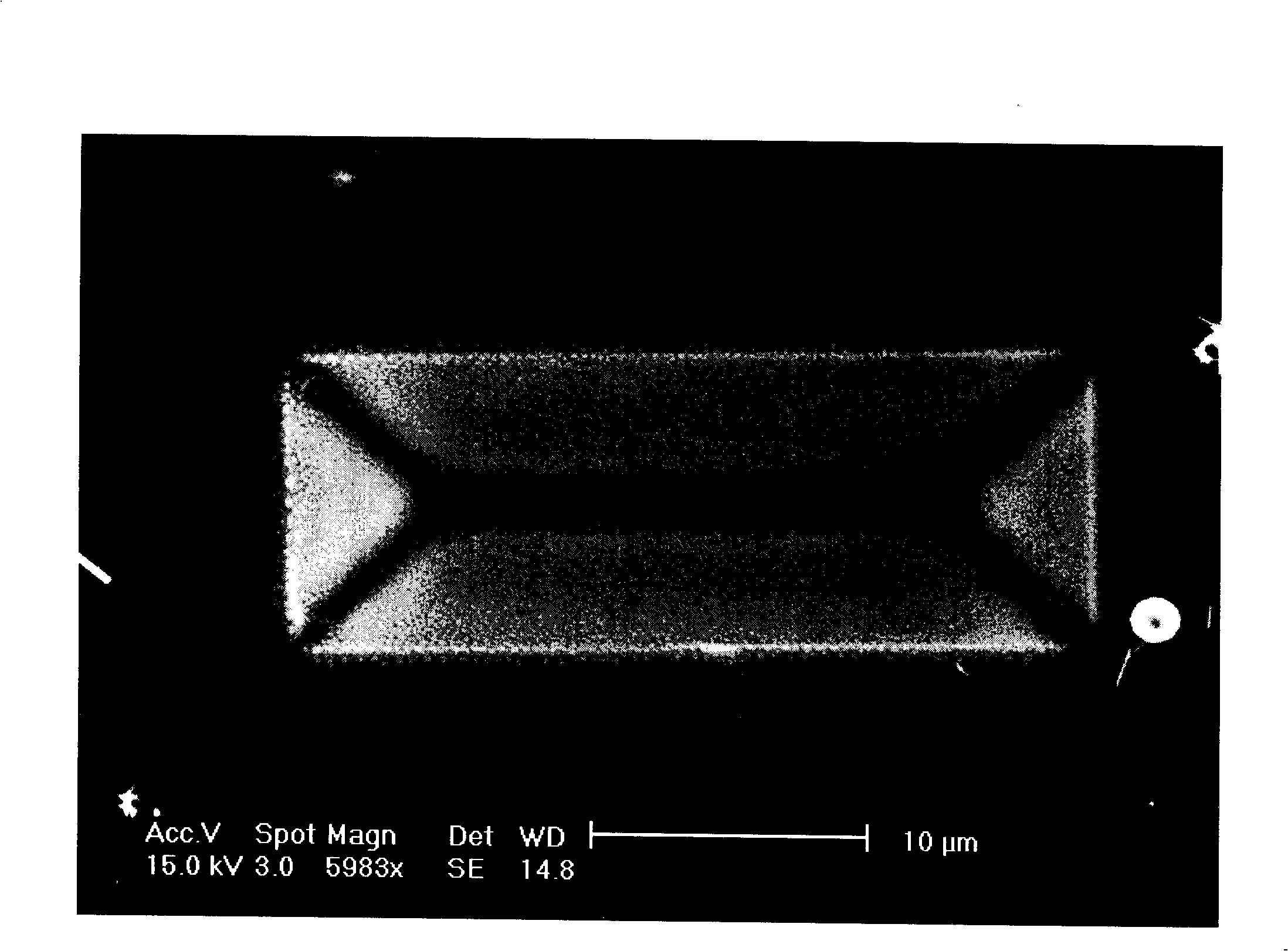 Silicon with three-dimensional depression structure and method for preparing same