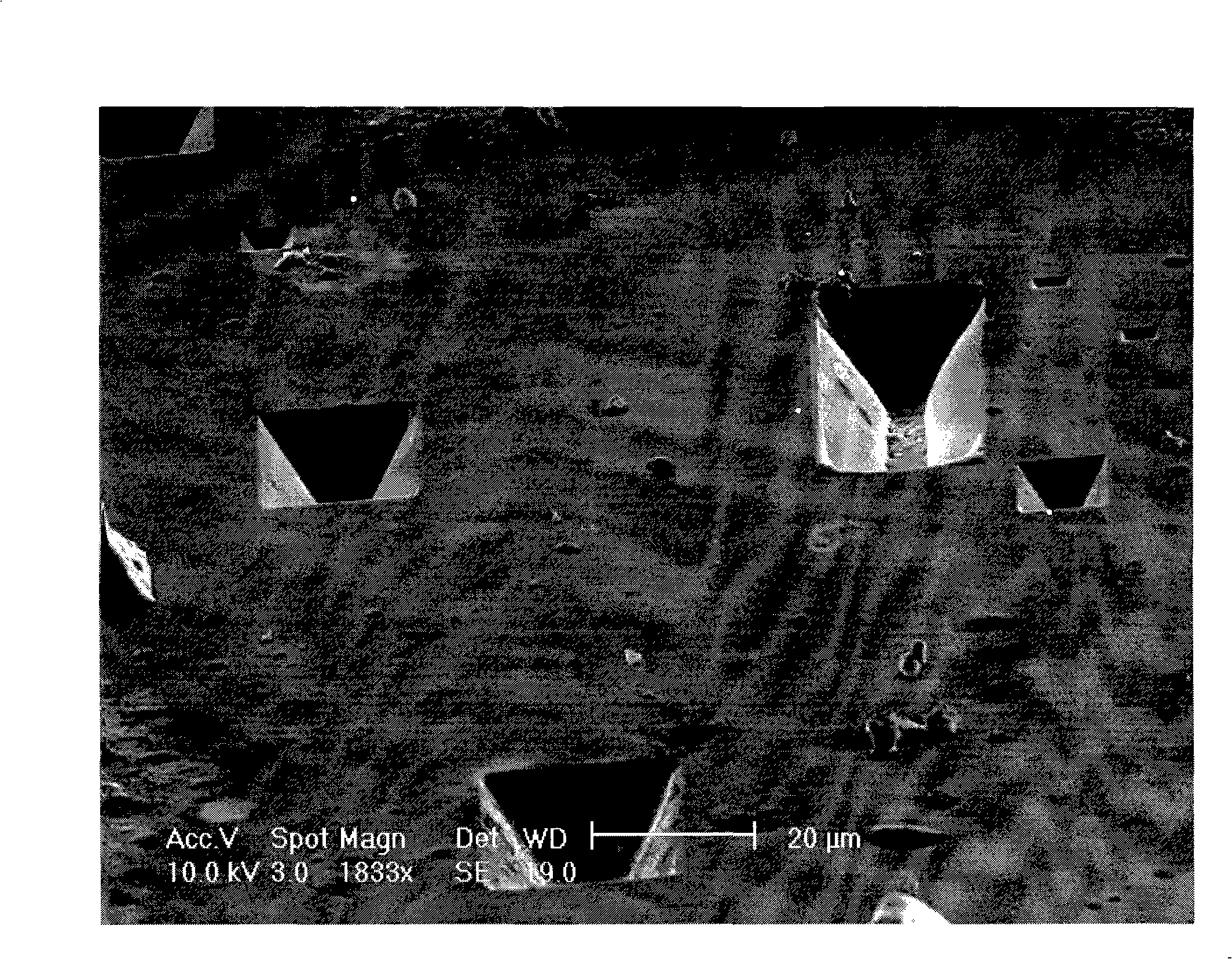 Silicon with three-dimensional depression structure and method for preparing same