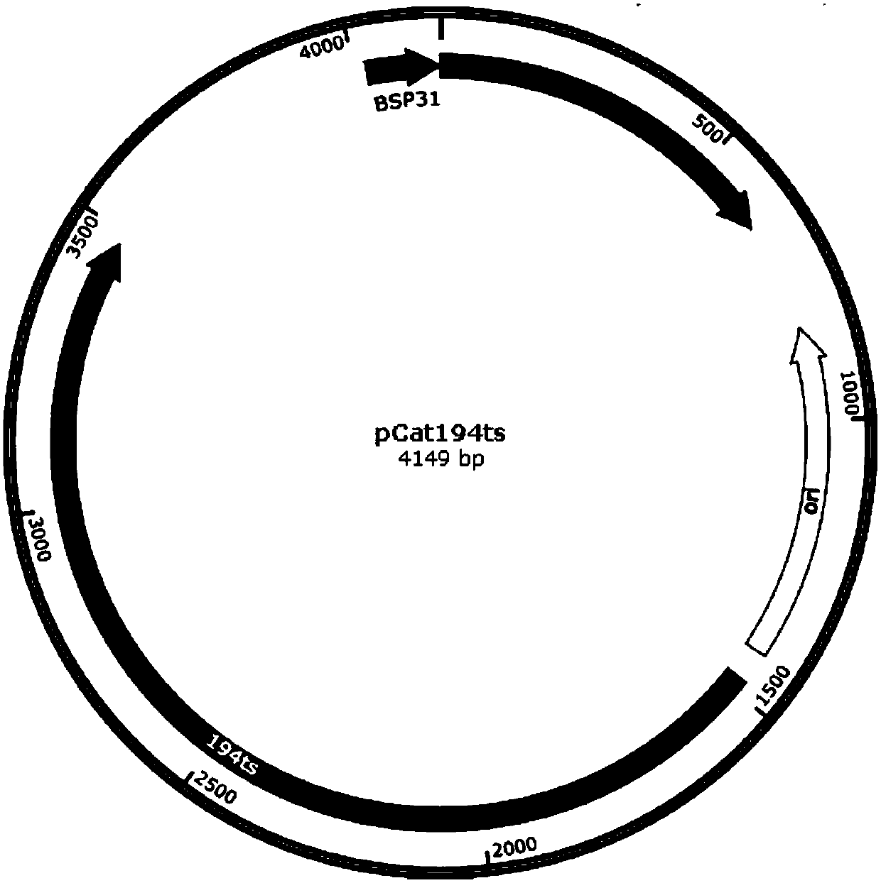 A kind of Bacillus multiple gene overlay knockout method