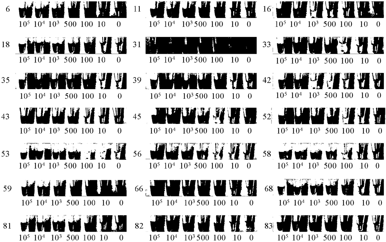 A novel kit and method for typing 21 human papillomavirus subtypes