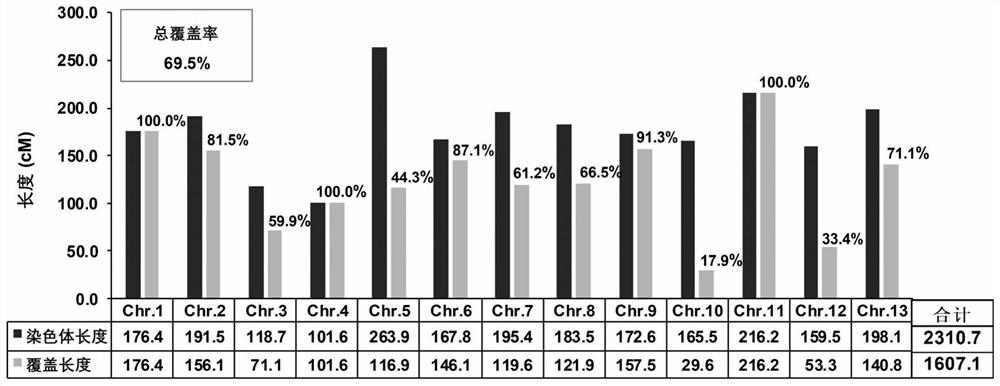 Molecular markers of ssr associated with cotton dwarf and high lint