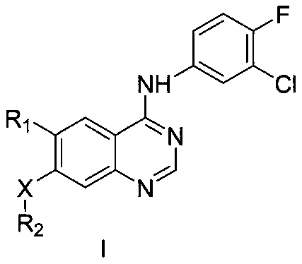 EGFR (epidermal growth factor receptor) inhibitor and medical application thereof