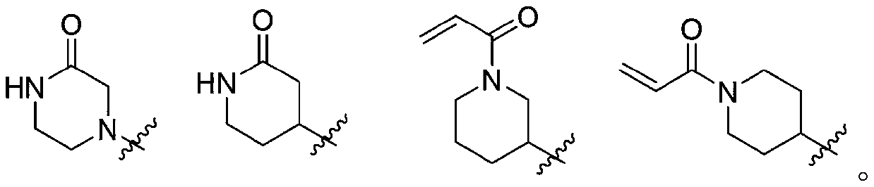 EGFR (epidermal growth factor receptor) inhibitor and medical application thereof