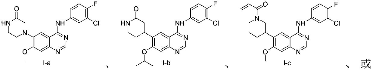 EGFR (epidermal growth factor receptor) inhibitor and medical application thereof