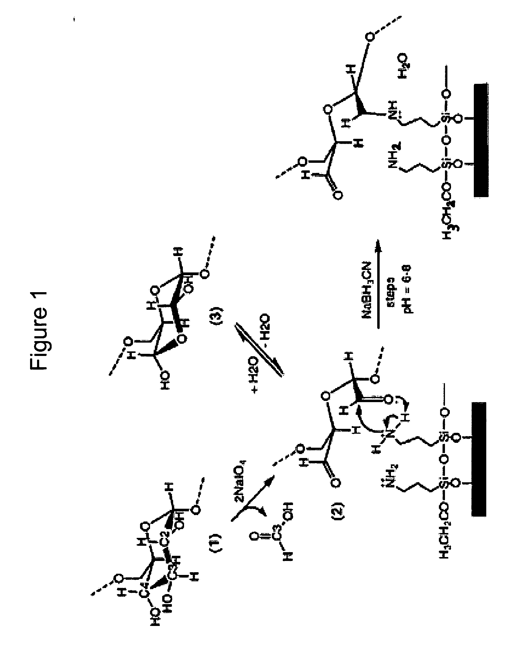 Particles that disrupt or impede bacterial adhesion, related compositions and methods