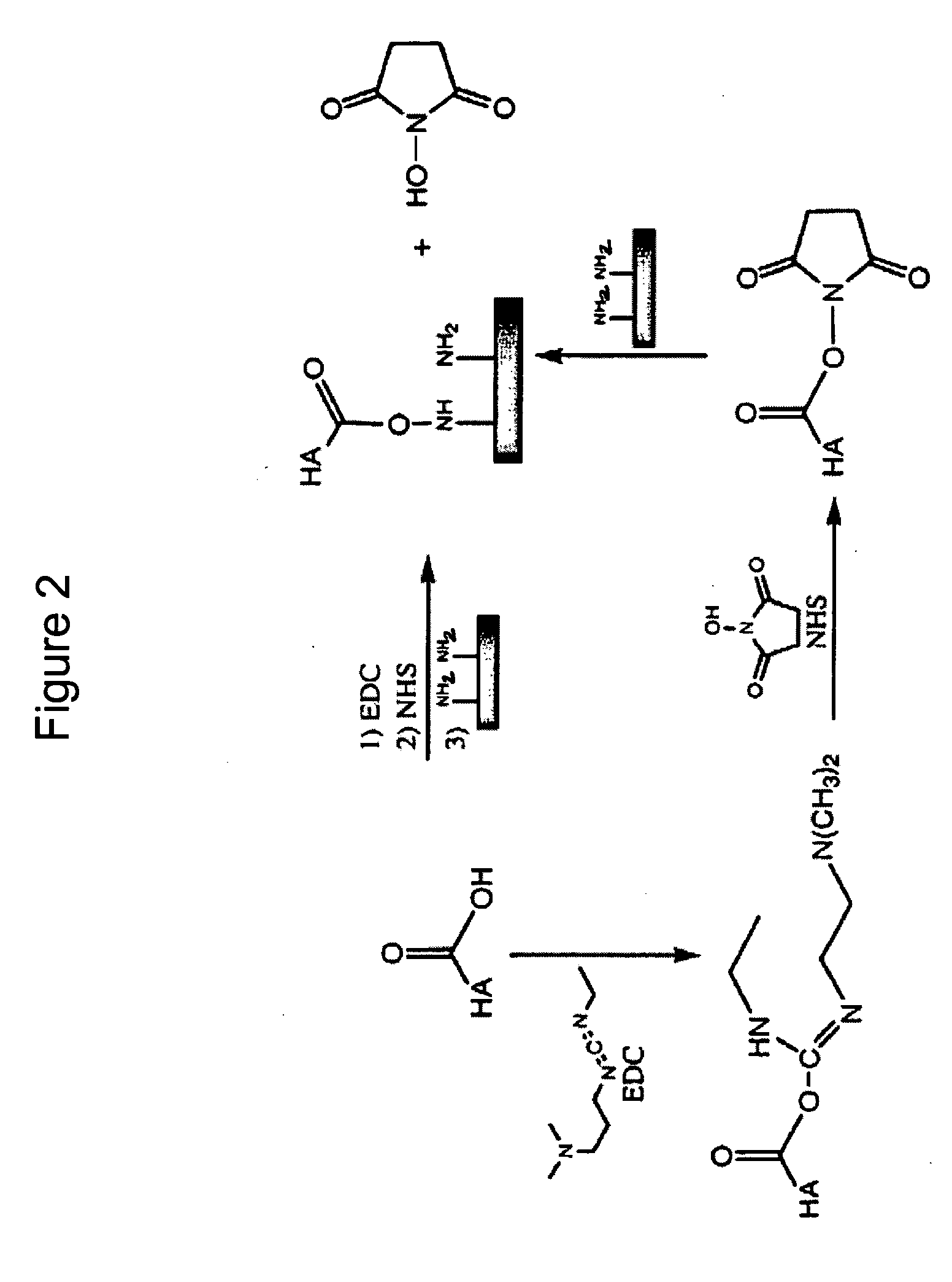 Particles that disrupt or impede bacterial adhesion, related compositions and methods