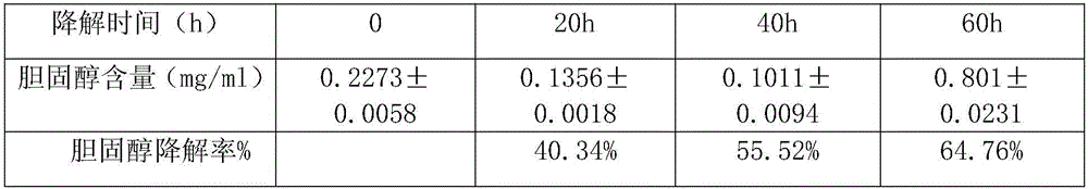 Composite microbial fertilizer and preparation of same