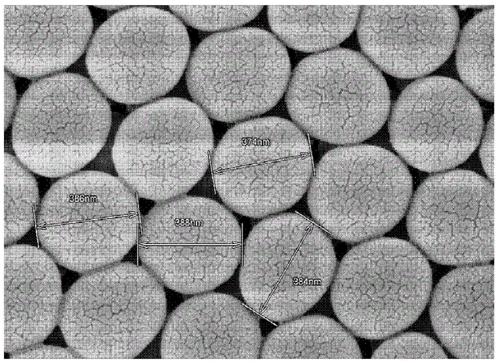 Fluorescent microsphere suitable for rapid immunology detection and preparation method thereof