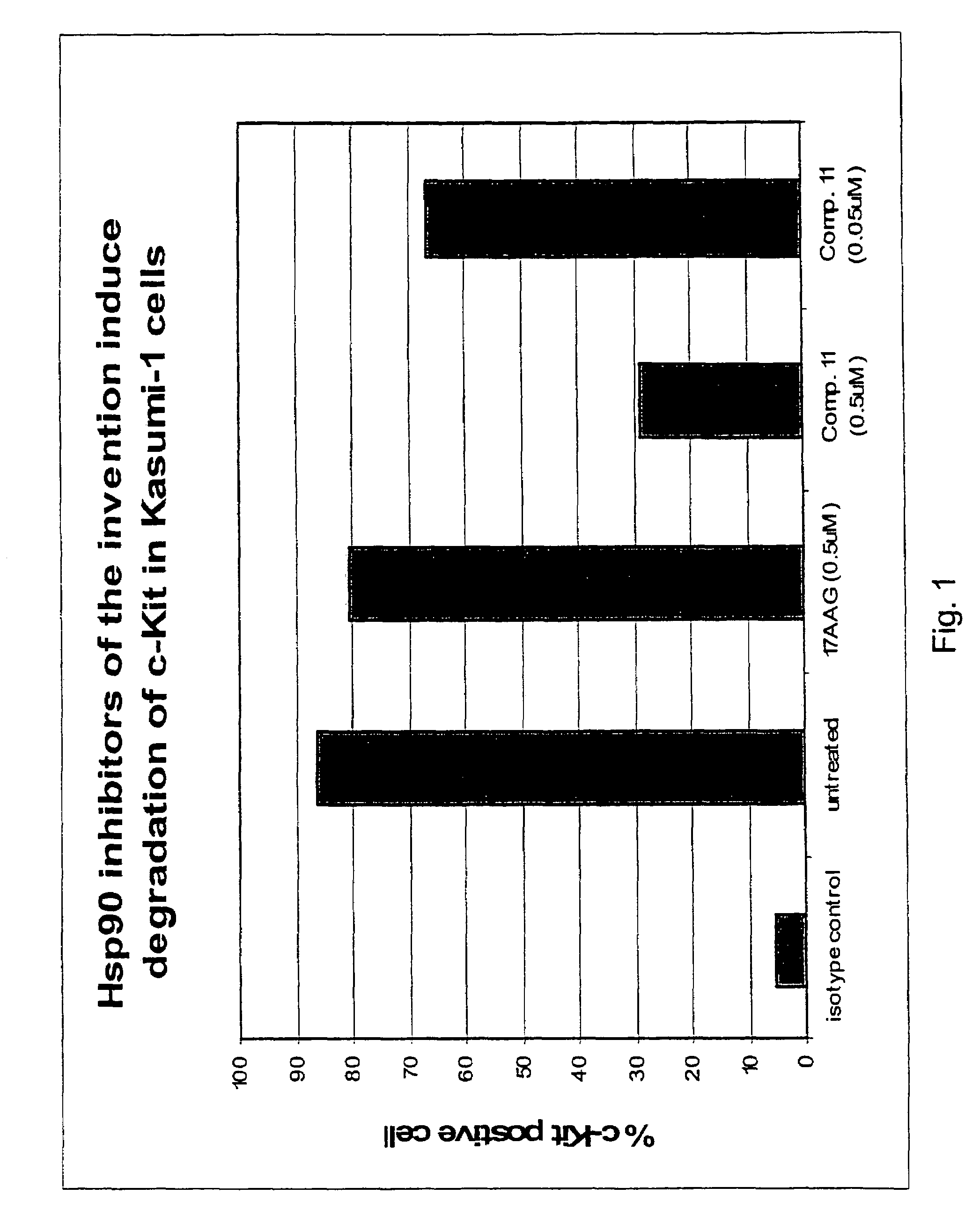 Triazole compounds that modulate HSP90 activity