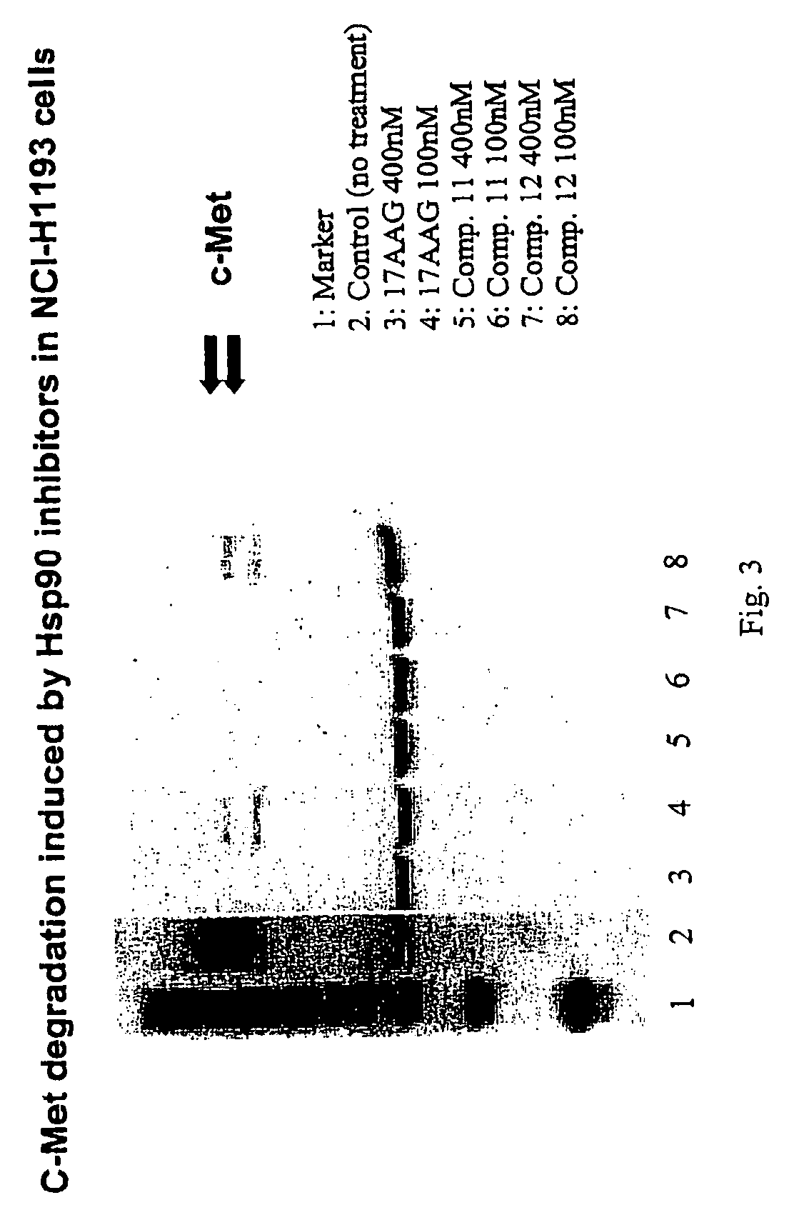 Triazole compounds that modulate HSP90 activity