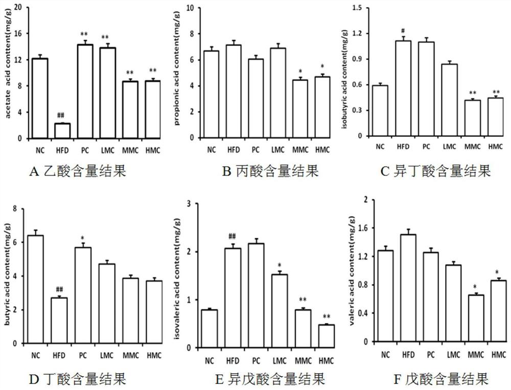 Application of jelly jelly extract in the preparation of drugs or health products for regulating intestinal flora