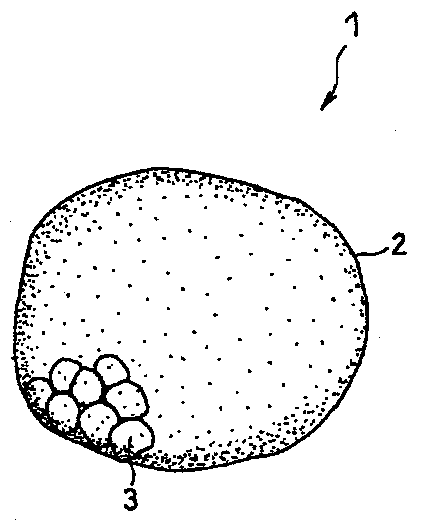 Non-aqueous electrolyte secondary battery