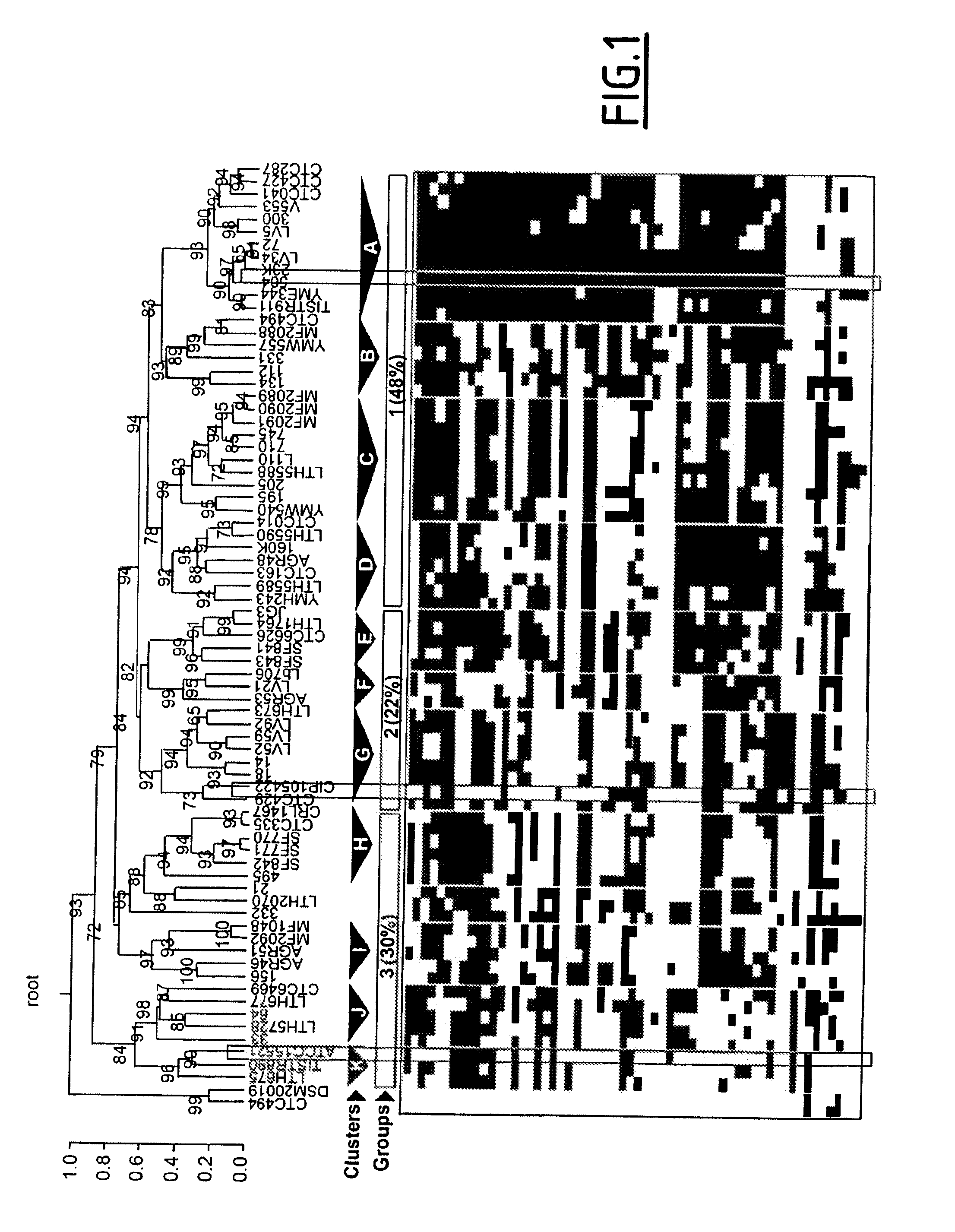 Combination of Marker Genes for Characterizing a Lactobacillus Sakei Strain