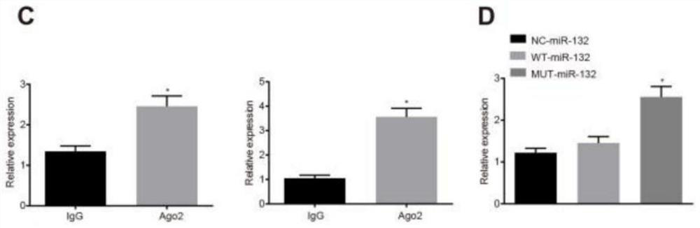 Application of LncRNA XIST and miR-132 combined with LncRNA XIST for inhibiting proliferation, invasion and metastasis of gastric cancer cells