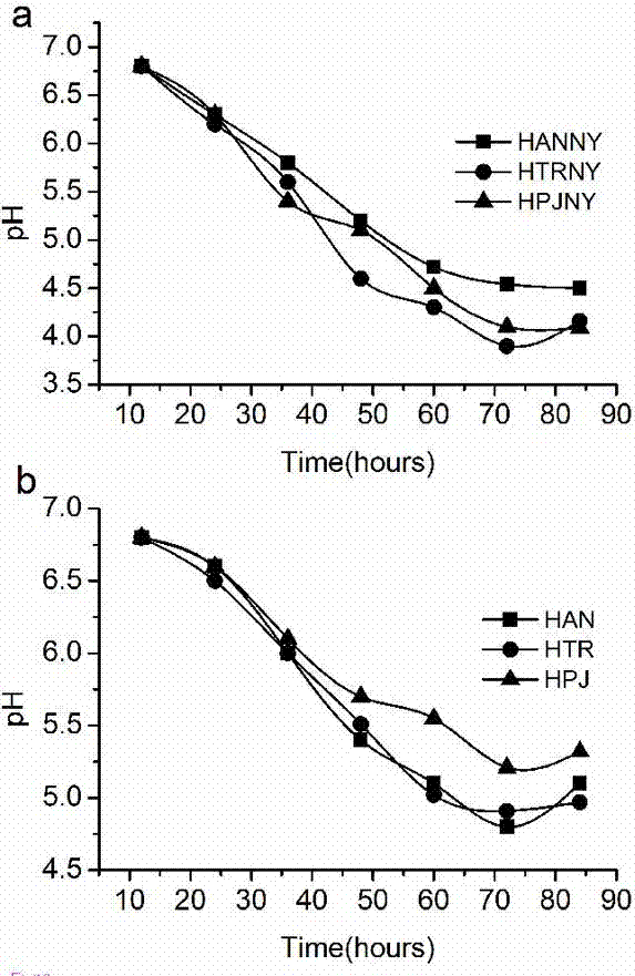 A kind of pretreatment method that utilizes bagasse to ferment and produce butanol