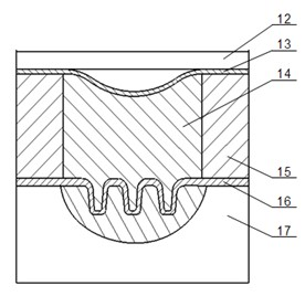 Laser shock high molecular polymer indirect micro-forming method and dedicated device thereof