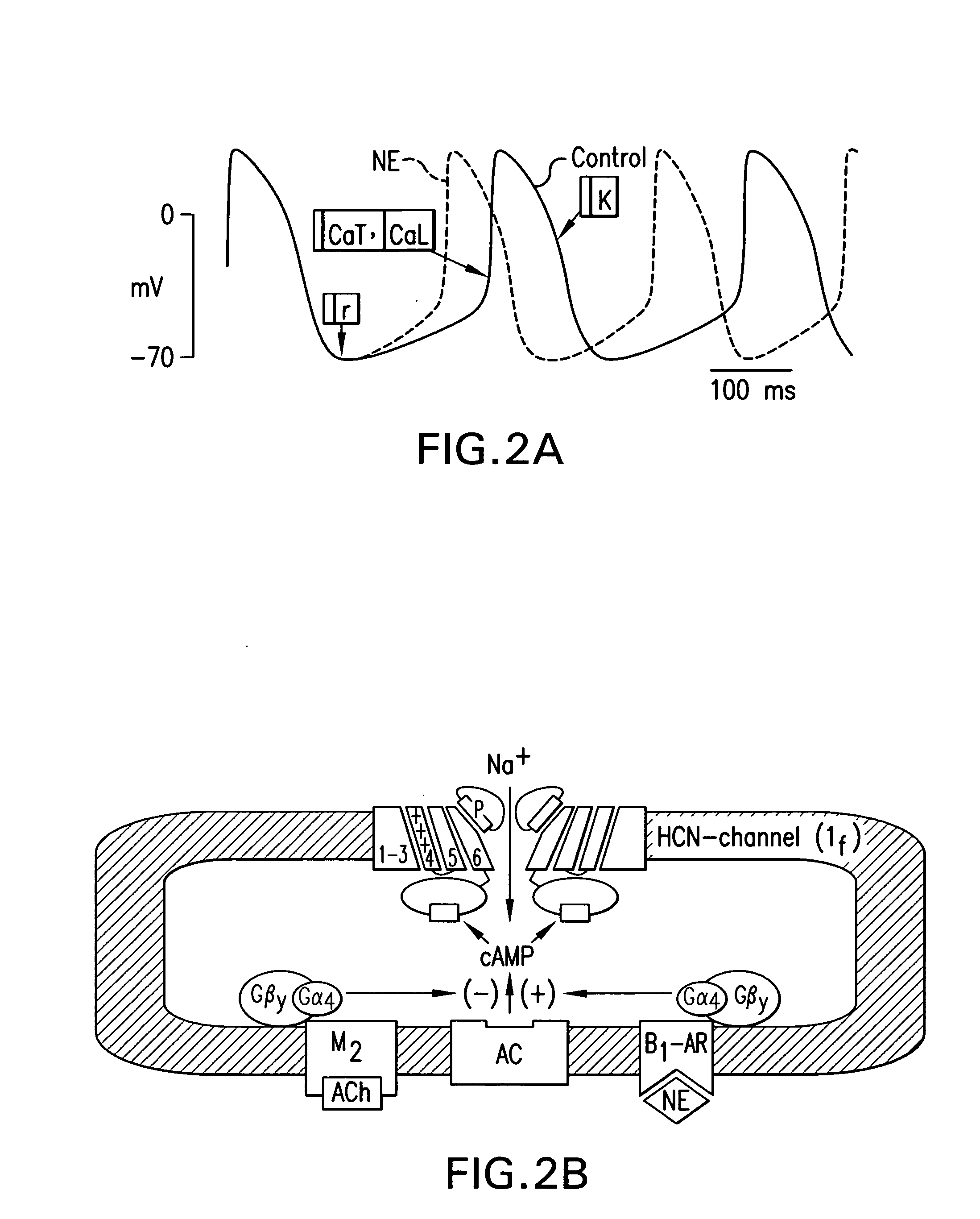 Tandem cardiac pacemaker system