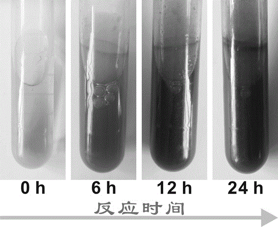 Method for preparing supported palladium/carbon catalyst through self-polymerization of dopamine, and application