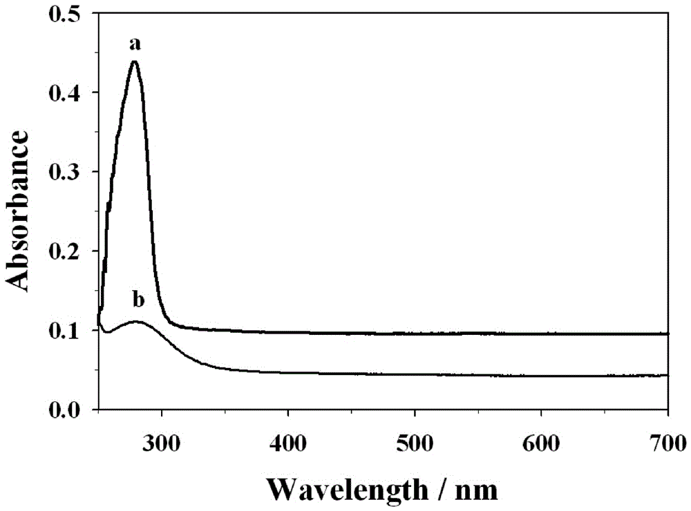 Bovine serum albumin-stabilized copper nano-cluster fluorescence biosensor and preparation method and application thereof