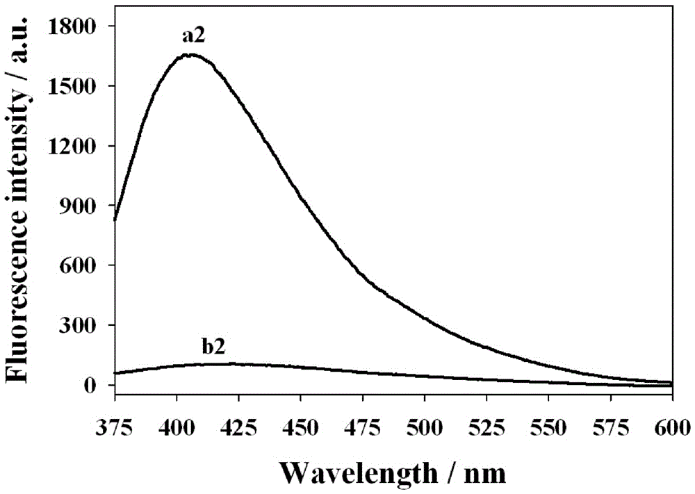 Bovine serum albumin-stabilized copper nano-cluster fluorescence biosensor and preparation method and application thereof