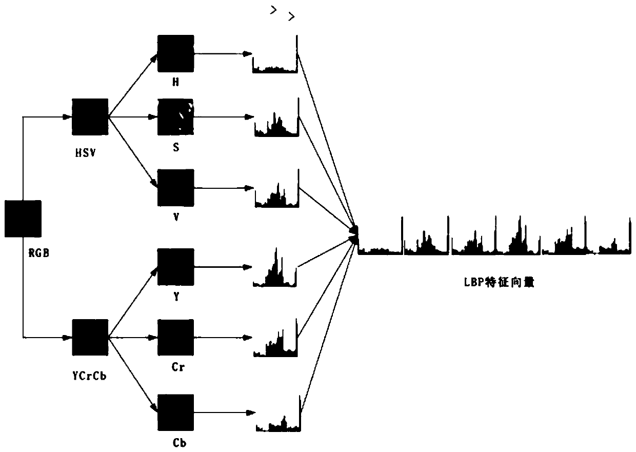 Face representation attack detection method based on LBP-VAE anomaly detection model