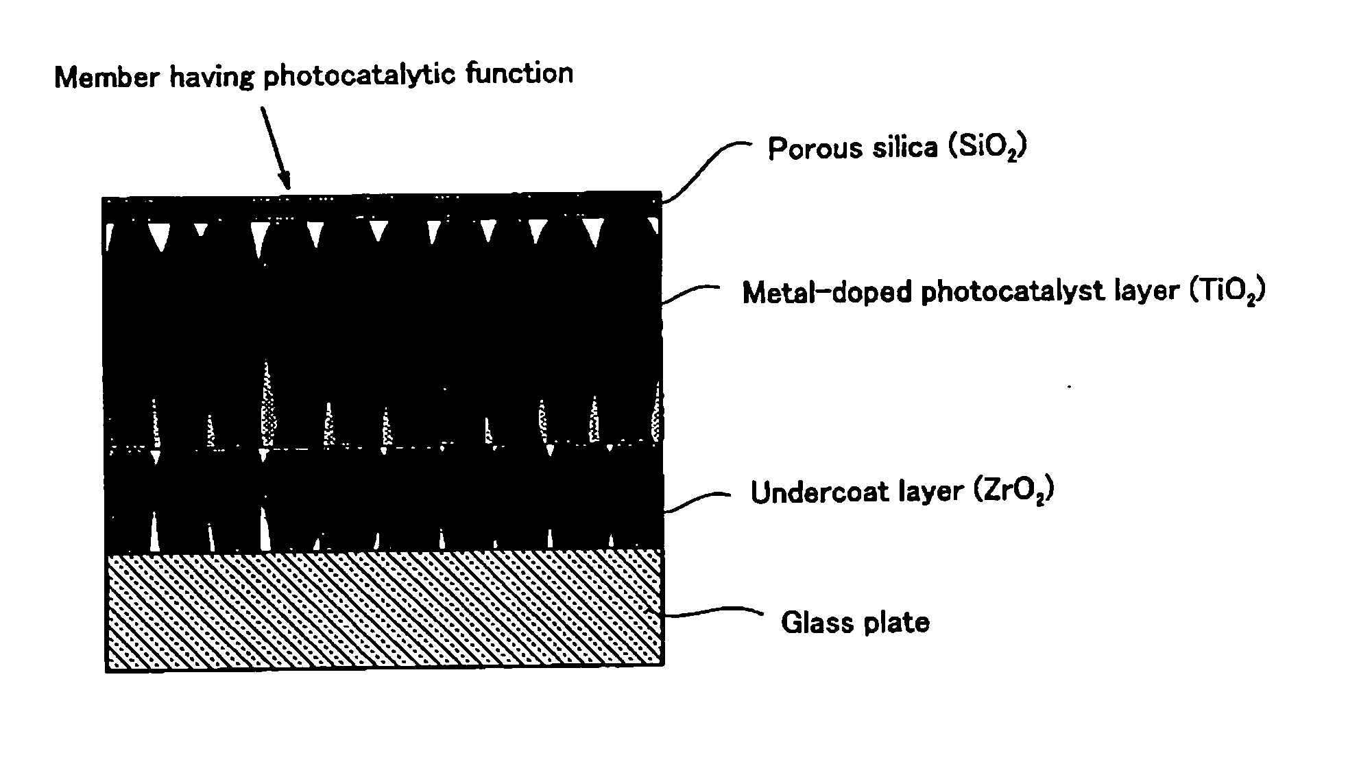 Member having photocatalytic function and method for manufacture thereof