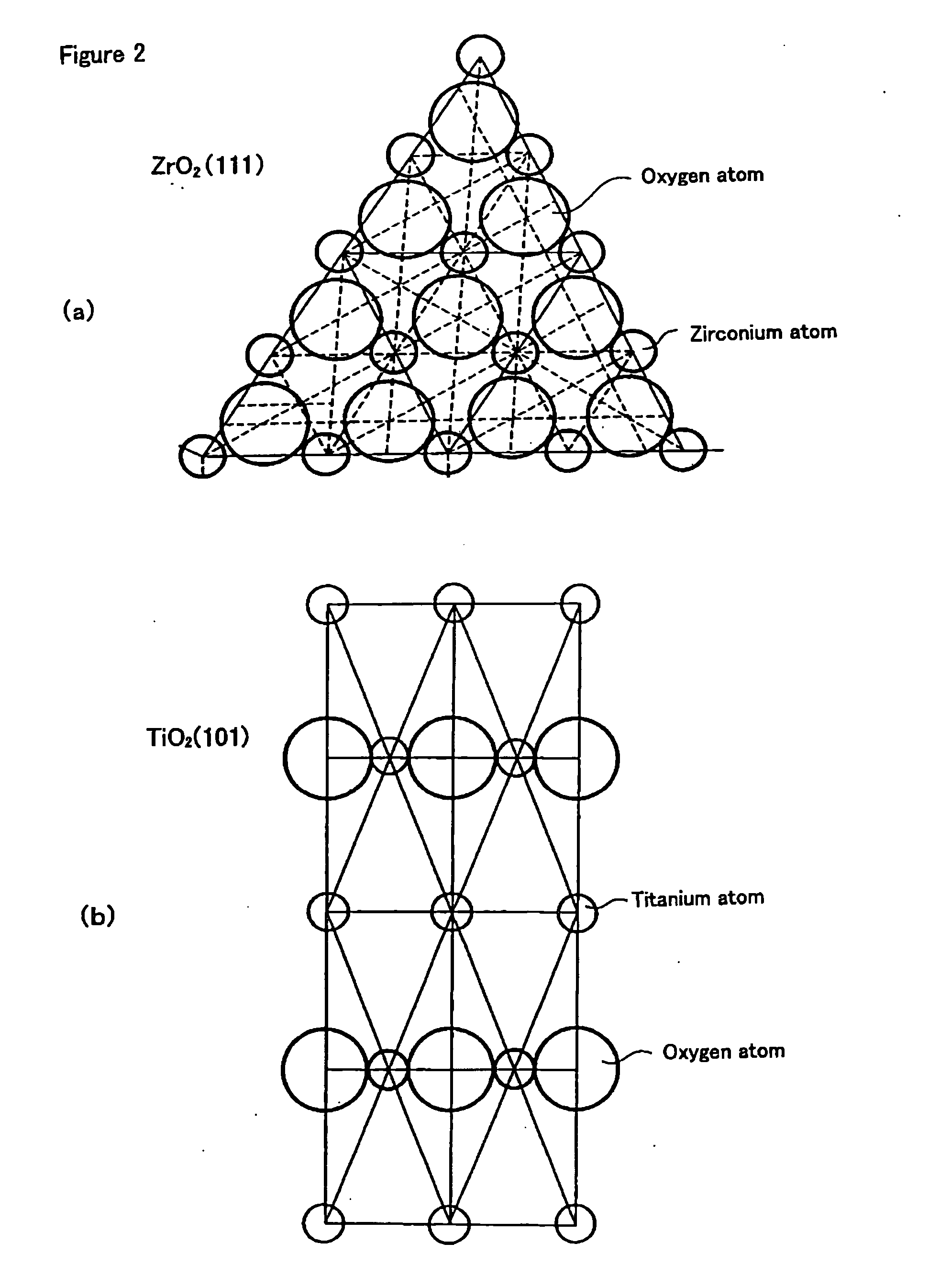 Member having photocatalytic function and method for manufacture thereof