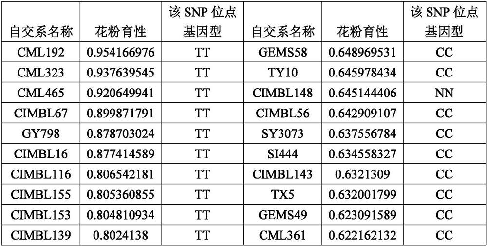 Application of protein GEN1 and related biological materials thereof in regulation and control of corn yield