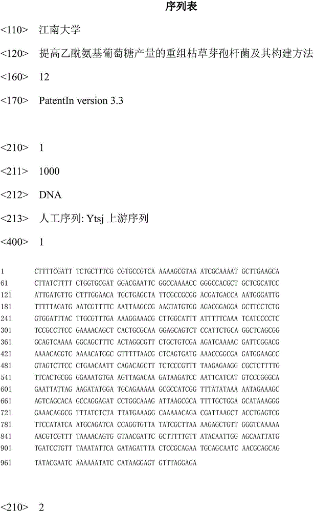 Recombinant bacillus subtilis for improving yield of acetylglucosamine and building method of recombinant bacillus subtilis