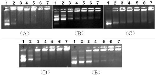 Degradable polymer based on ring-opening polymerization of valerolactone derivatives and its preparation method and use