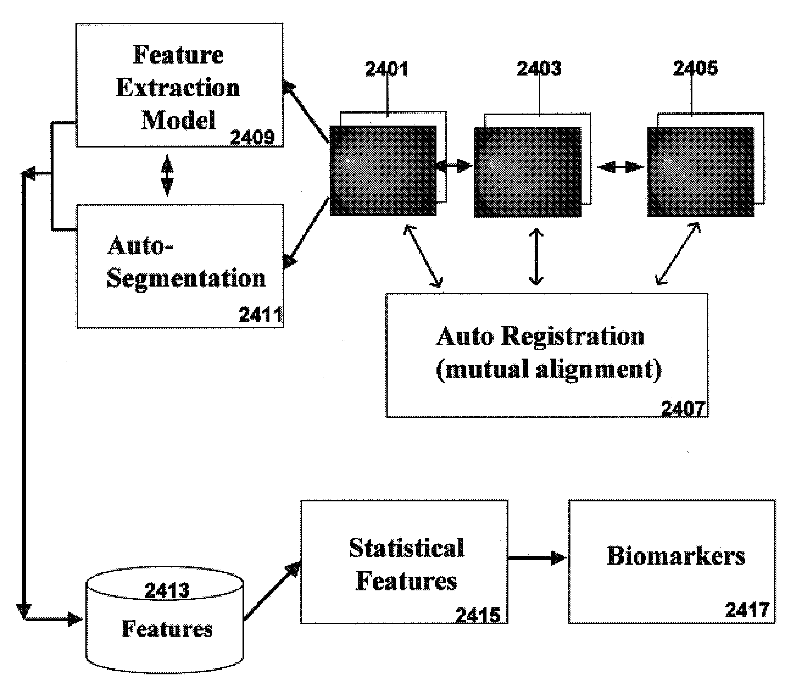 System and method for automation of morphological segmentation of bio-images