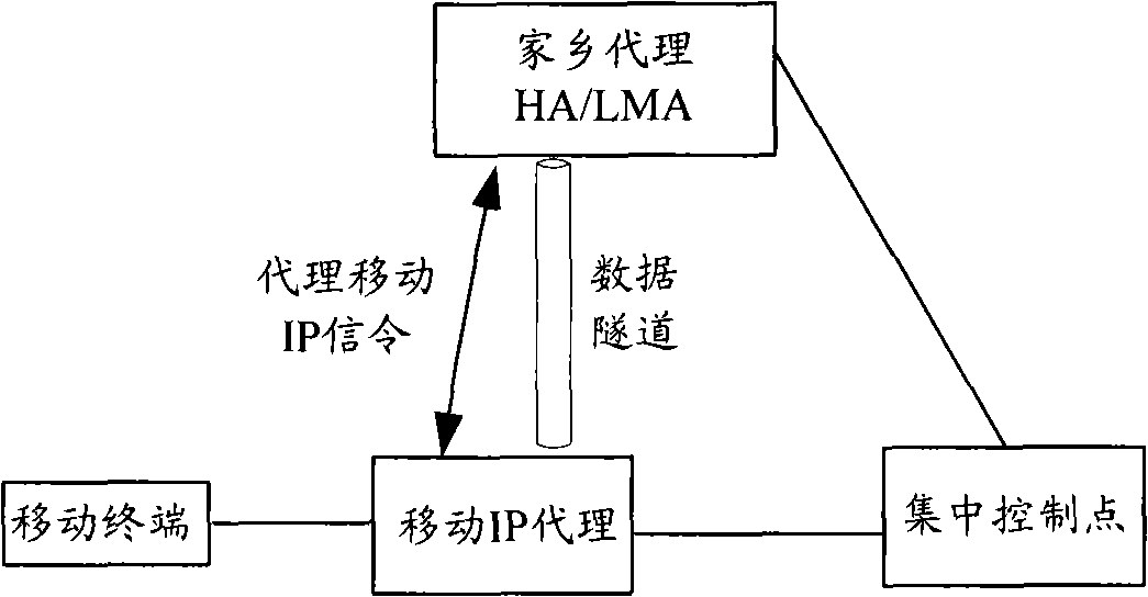 Method, system and apparatus for protecting proxy mobile internet protocol signalling