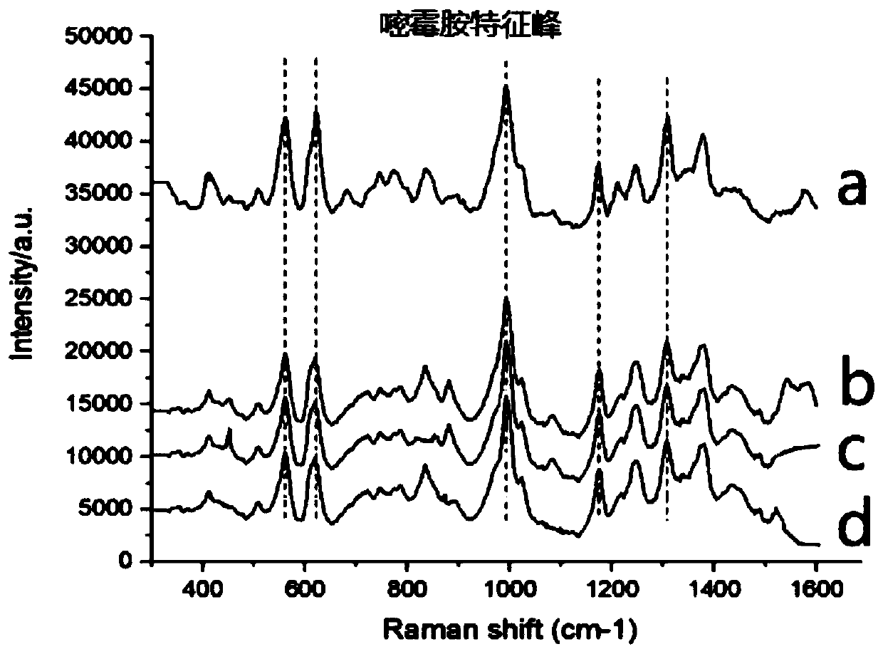 Method of detecting bactericide residues in food through Raman enhanced spectrum