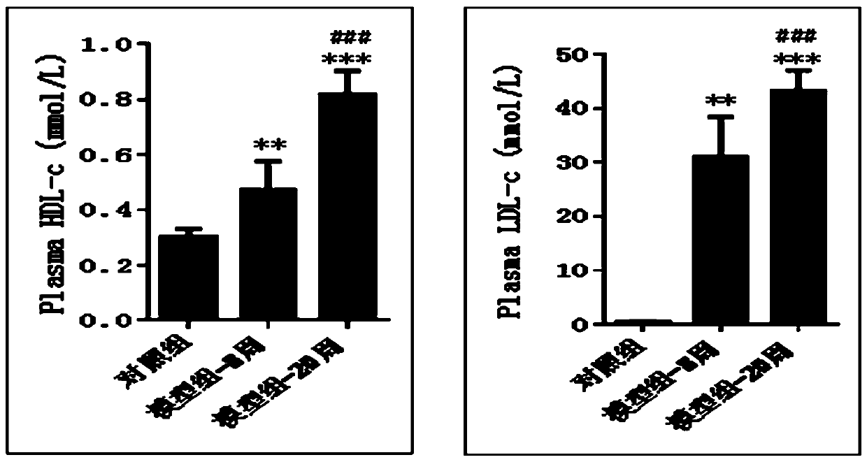 Animal model of coronary arteriosclerotic cardiopathy, construction method and application