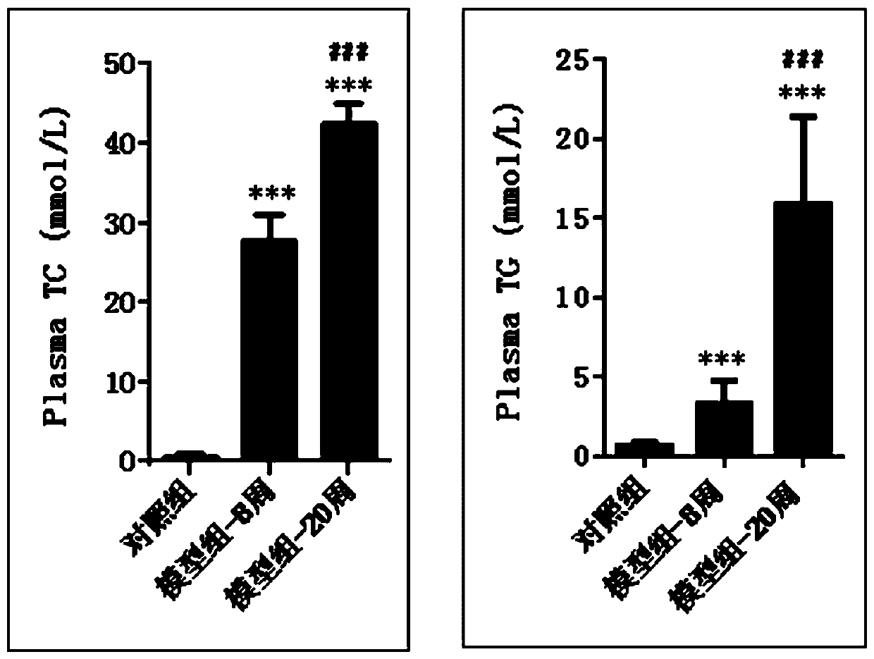 Animal model of coronary arteriosclerotic cardiopathy, construction method and application